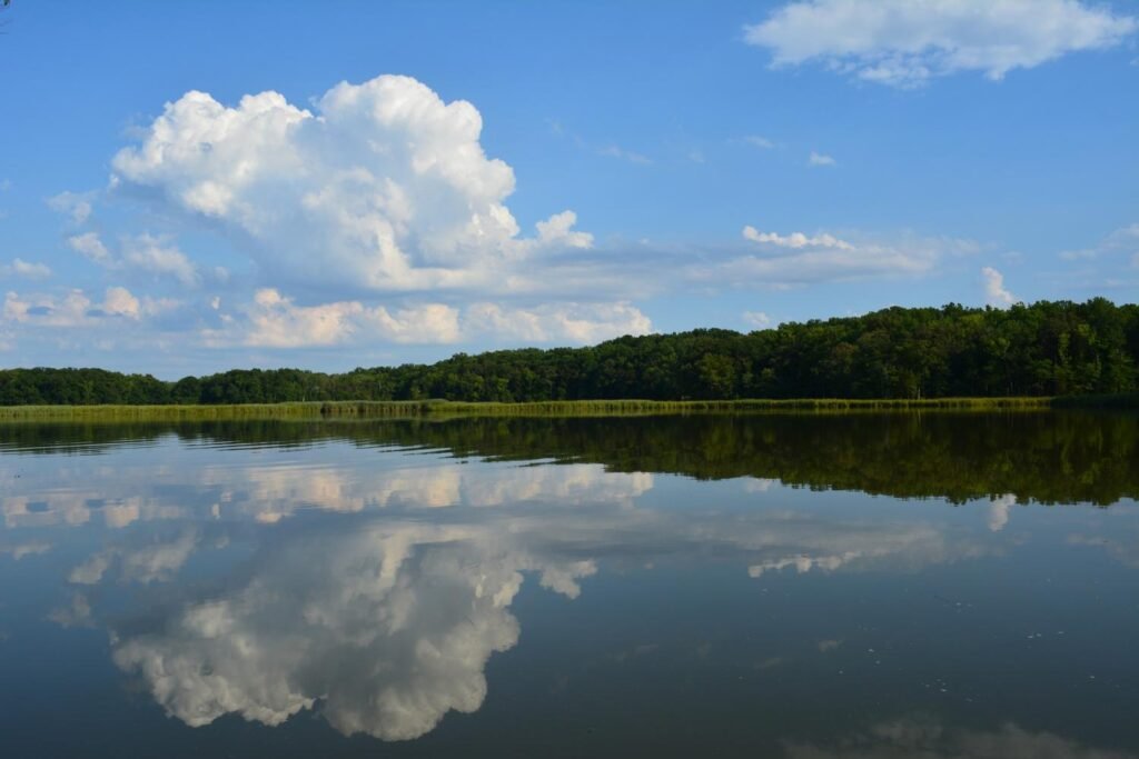 Satellites offer new view of Chesapeake Bay’s marine heat waves