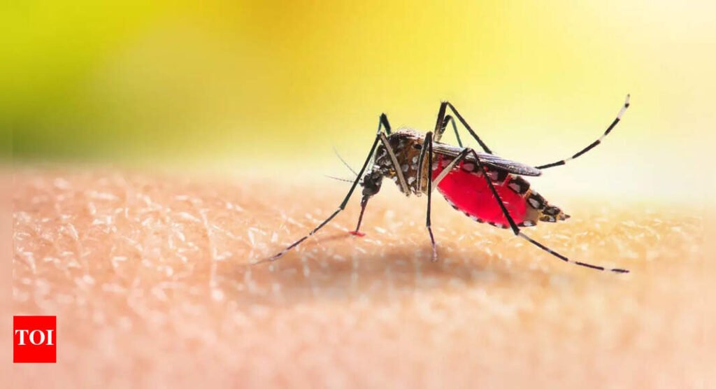 Certain people are mosquito magnets, and turns out THIS is the reason why |