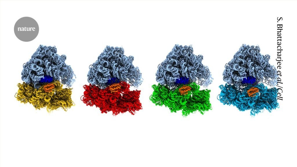 Freeze frame: cracking molecular motion