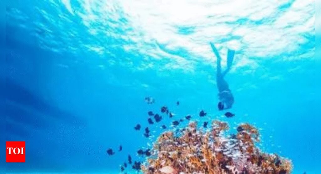 India calls for urgent global action to protect ocean, commits to early ratification of High Seas Treaty | India News
