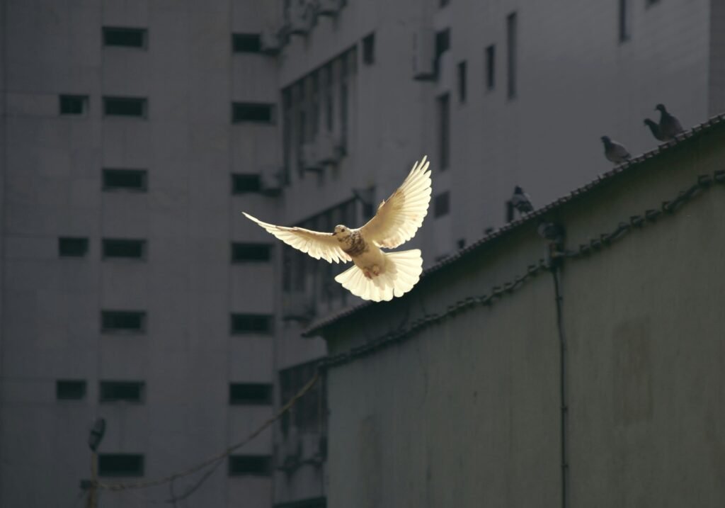 Partial peace deals may facilitate comprehensive accords, offering roadmap for policymakers