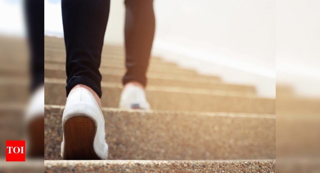 Walk your way to a sharper mind: How 40 minutes of walking boosts brain size |