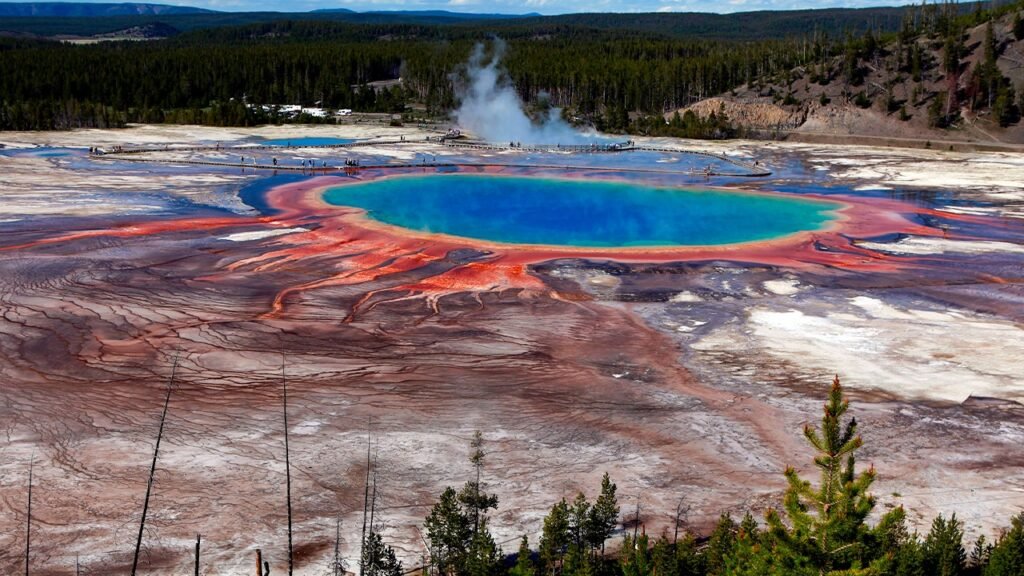 Bison dies after falling into Grand Prismatic Spring at Yellowstone Park